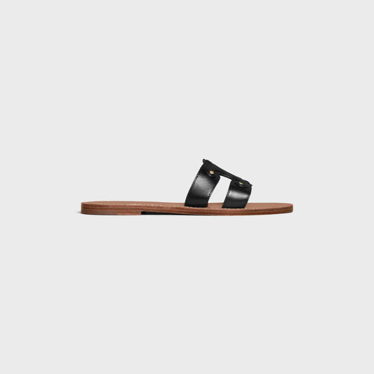 CN Triomph slides