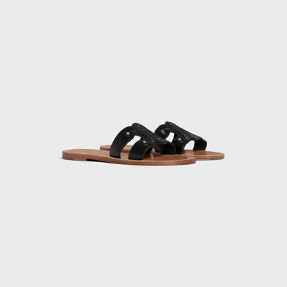 CN Triomph slides