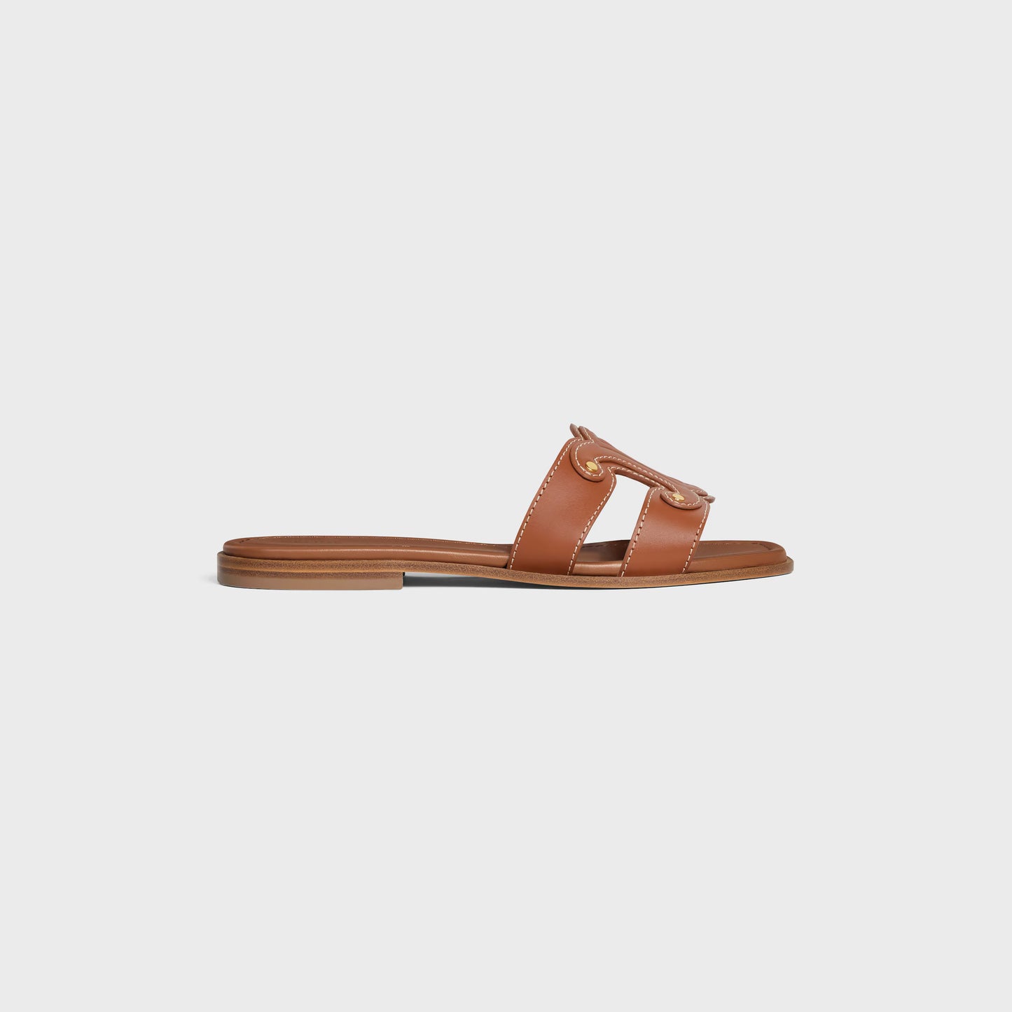 CN Triomph slides